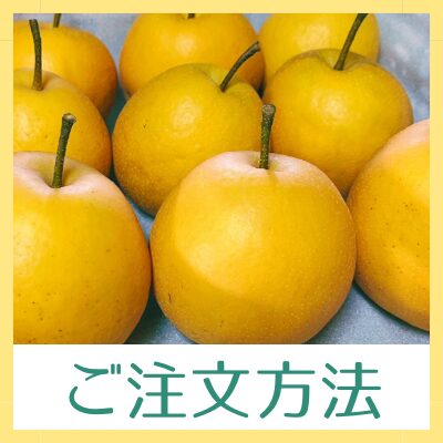 ご注文方法