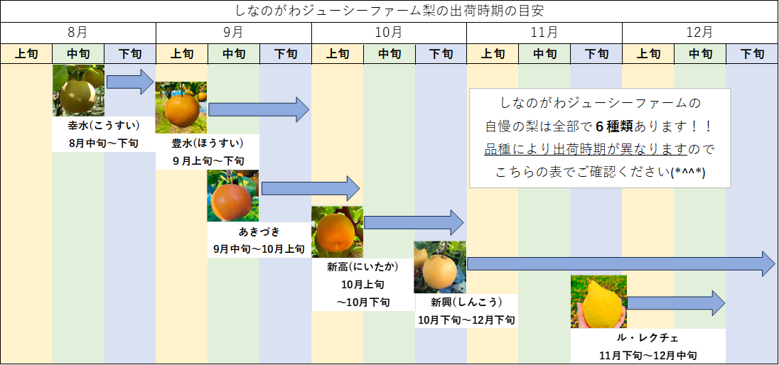 梨の通販　各品種ごとの美味しい時期