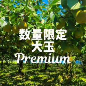 7premium