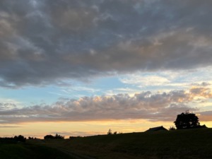 梨通販しなのがわジューシーファーム　夕方の空