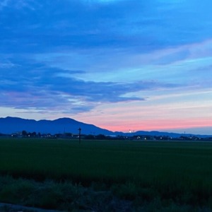 梨通販　しなのがわジューシーファーム　農園の風景　弥彦山